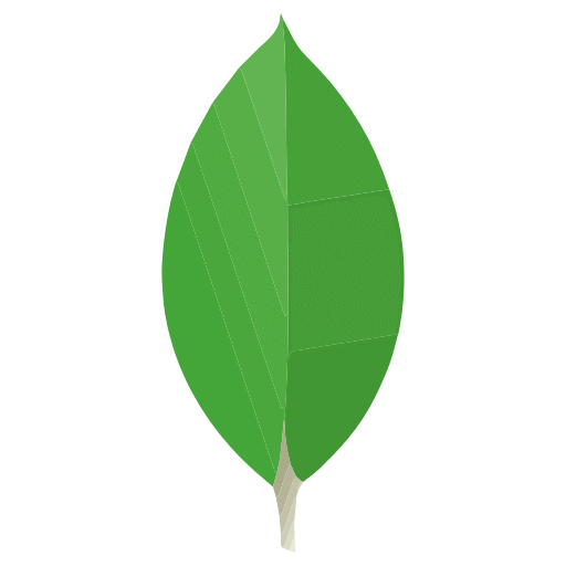 Node.js